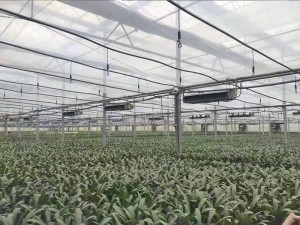 烘干机